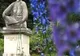 Grădina Botanică din Cluj numără peste 10.000 de specii de plante 