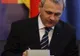 Cazul Ridzi discutat în coaliţie: PSD - problemele economice sunt mai importante; PD-L- nu comentează