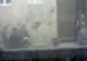 Videoamatori uiguri au filmat acte de violenţă ale forţelor chineze