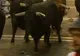 Un tânăr a murit în timpul unei curse cu tauri, la festivalul de la Pamplona