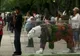 O expoziţie de animale pe cale de dispariţie a fost deschisă în Mexic 