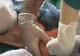Oamenii de ştiinţă iranieni au anunţat clonarea unui viţel