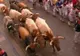 Încă 11 persoane au fost rănite în timpul festivalului de la Pamplona