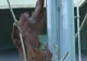 Un urangutan a încercat să evadeze din grădina zoologică - VEZI VIDEO