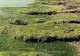 DADL a strâns o sută de tone de gunoaie şi 1.280 tone de alge de pe plaje într-o săptămână