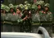 Doi uiguri au fost ucişi de poliţiştii chinezi, iar un al treilea a fost rănit 