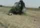 Unul dintre motoarele avionului prăbuşit în Iran luase foc în aer, anunţă autorităţile de la Erevan