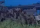 6 oameni au murit şi 4 au fost răniţi într-un accident în China