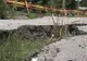 DN 11, care face legătura între Bacău şi Oneşti, este plin de gropi 