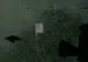 NASA a prezentat cele mai clare imagini ale primului pas al omului pe Lună. VEZI VIDEO