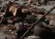 Râul Seviş este plin de peturi, saci de plastic şi cauciucuri 