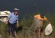 Şase tineri din Slatina au fost prinşi în timp ce furau peşte