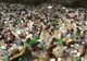 O firmă clujeană de salubritate vinde gunoiul în Austria, pentru reciclare 