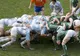 Un rugbyst a fost suspendat un an pentru că a simulat o accidentare!