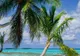 Tuvalu, una dintre cele mai mici ţări din lume, a devenit prima cu zero emisii de carbon