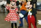 Disney vrea să vândă filme, show-uri de televiziune şi jocuri disponibile pe internet