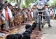 Cursanţii unui curs de karate din India au fost călcaţi pe mâini de un motociclist