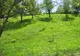 Valea Sarii, Vrancea