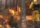 Incendiile de pădure fac ravagii în mai multe ţări din Europa