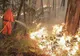 4.000 de oameni au fost evacuaţi de pe insula spaniolă La Palma din cauza unui incendiu de pădure