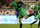 Stranieri / Laszlo Sepsi, împrumutat din nou la Racing Santander