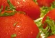 România a importat cu 43,6% mai puţine legume în primul trimestru al anului