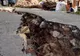 Cutremur în Bucureşti - IGSU nu a primit nicio sesizare în urma seismului