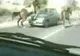Un cal a fost implicat într-un accident frontal cu o maşină, în Israel
