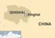 Un câine se află la originea epidemiei de pestă pulmonară din China