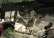 Crytek, producătorii Far Cry şi Crysis, ameninţă că vor părăsi Germania. SE PUBLICA DUMINICA