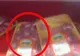 Hipermarketul Kaufland Colentina s-a deschis duminică, după ce timp de 48 de ore a avut activitatea suspendată 
