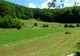Sighisoara