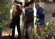 Un bucureştean care făcea curat a descoperit un craniu în grădina din faţa blocului