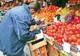 Amenda maximă pentru comercializarea produselor expirate creşte de 16 ori, la 50.000 de lei