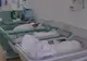 Numărul concediilor de maternitate a crescut cu până la 50%