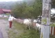 România