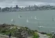 Alcatraz