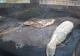 Gurmanzii se pot bucura de specialităţi pescăreşti în cherhanalele de la mare 
