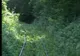 Cea mai veche cale ferată montană din România este încă în funcţiune 