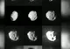 Un element esenţial vieţii, descoperit într-o cometă