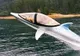 Seabreacher, submarinul de curse care arată şi se comportă ca un delfin, la SPORT pe NET