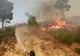 Două incendii majore se înregistrează lângă Atena