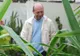  Băsescu: Piaţa alimentară este sigură pe timp de criză