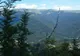Doi turişti şi-au petrecut noaptea în copac, lângă Gura Humorului