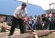 Ziua Lemnarului a fost sărbătorită cu probe speciale la Horea