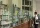 Vicepreşedintele Colegiului Farmaciştilor: Multe farmacii din ţară vor intra în faliment