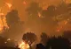Incendiile de lângă Atena reprezintă adevărate dezastre ecologice, spun experţii