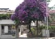 Italia