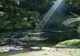Furnas