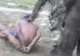 Armata din Sri Lanka ucide cu cruzime prizonieri. ATENŢIE, IMAGINI ŞOCANTE!